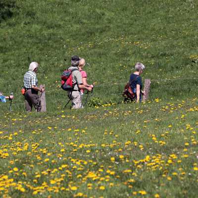 wandern, sommer, landschaft