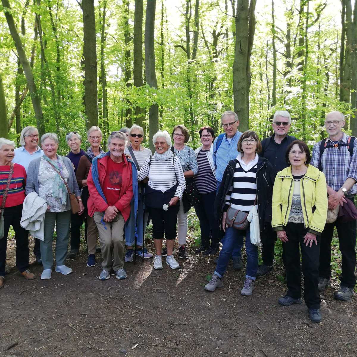 Im Wald