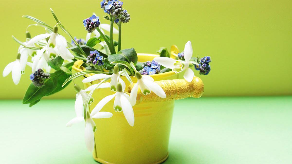 Blume im Topf