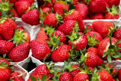 Erdbeeren