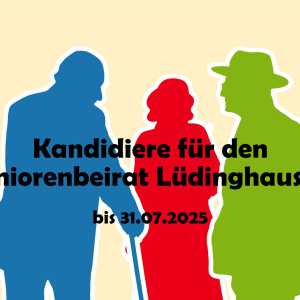 Kandidiere für den SBR